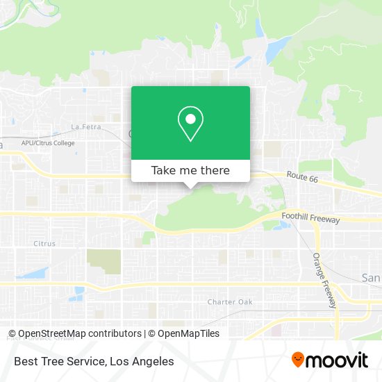 Best Tree Service map