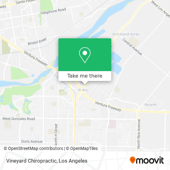 Vineyard Chiropractic map