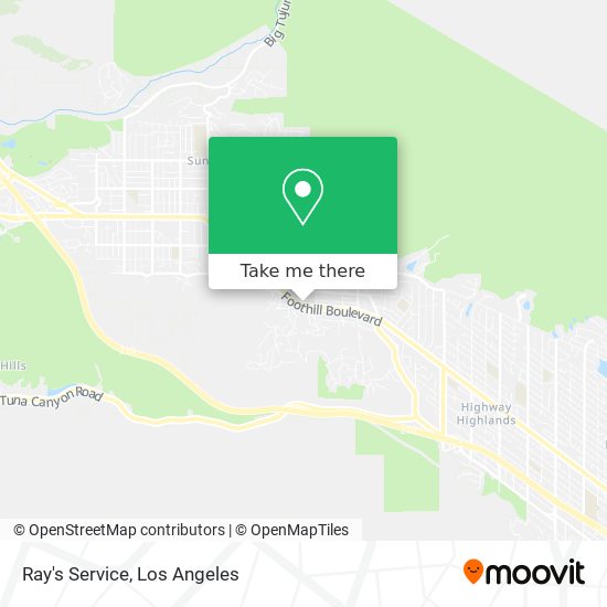 Ray's Service map