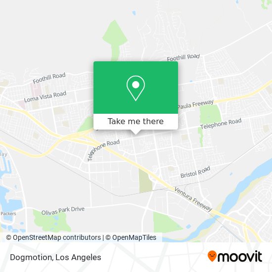 Dogmotion map