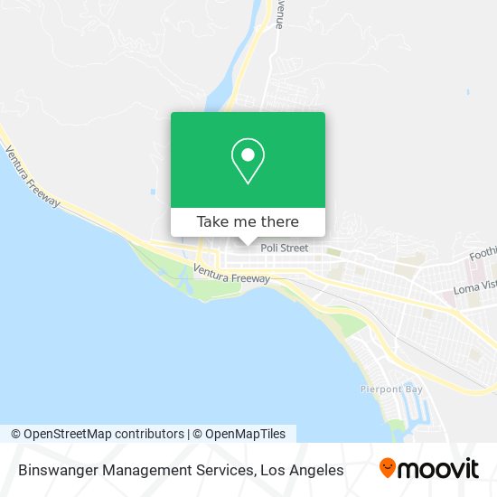 Mapa de Binswanger Management Services