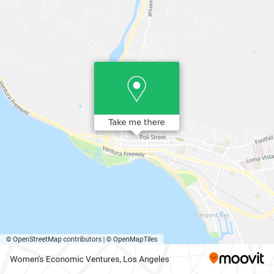 Women's Economic Ventures map