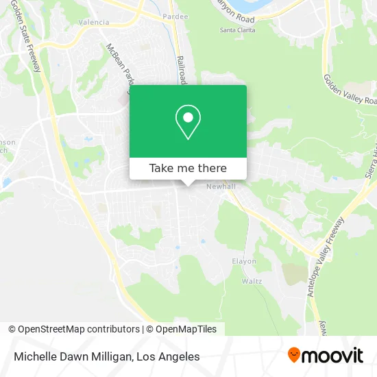 Michelle Dawn Milligan map