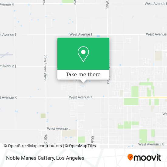 Noble Manes Cattery map