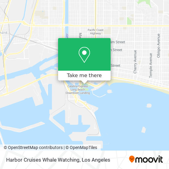 Harbor Cruises Whale Watching map