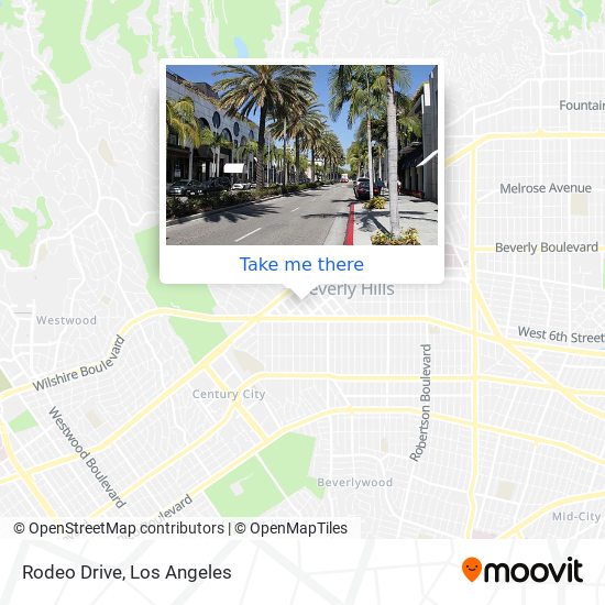 Rodeo Drive map