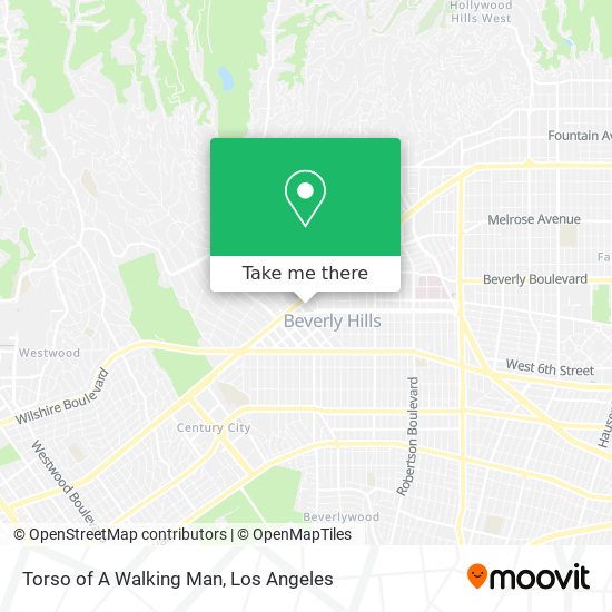 Mapa de Torso of A Walking Man