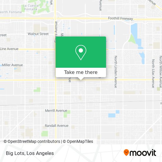 Big Lots map