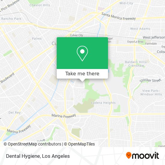 Dental Hygiene map