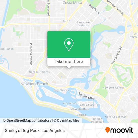 Shirley's Dog Pack map