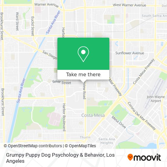 Mapa de Grumpy Puppy Dog Psychology & Behavior
