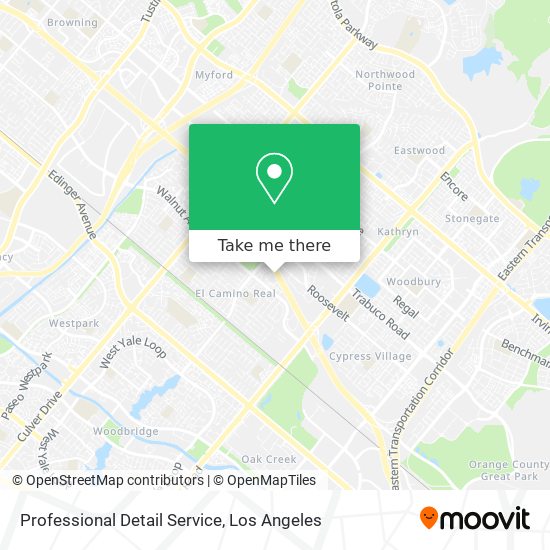 Professional Detail Service map