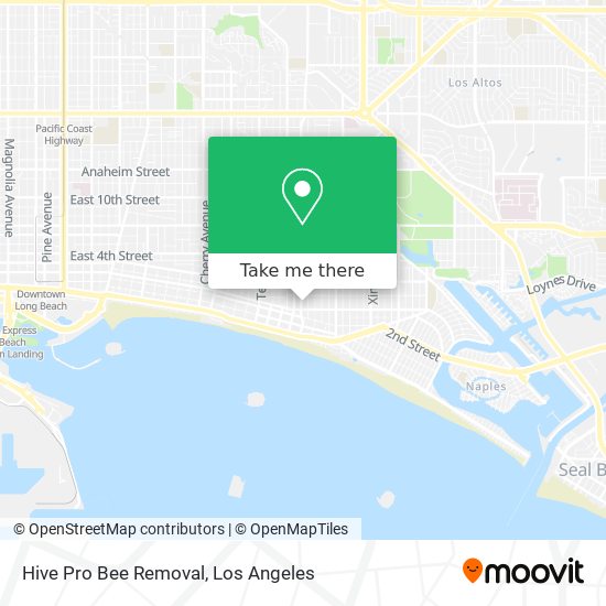 Hive Pro Bee Removal map