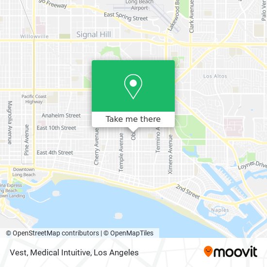 Vest, Medical Intuitive map