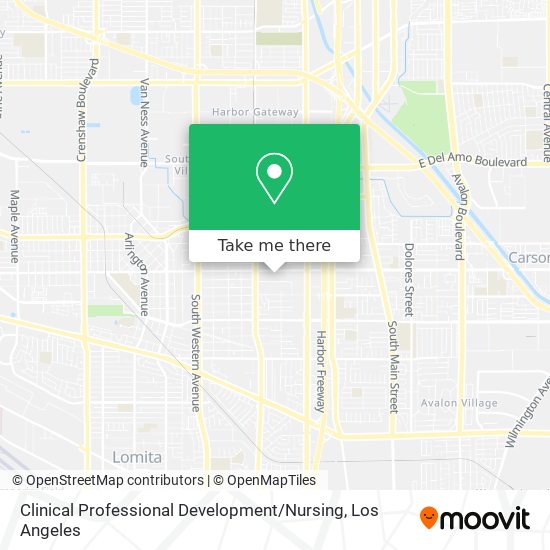 Clinical Professional Development / Nursing map