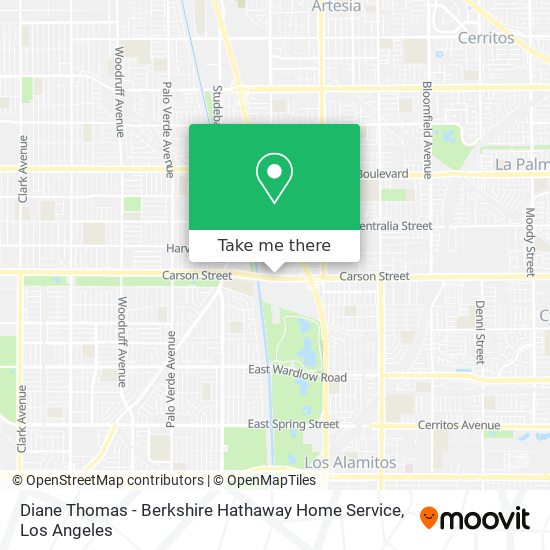 Diane Thomas - Berkshire Hathaway Home Service map