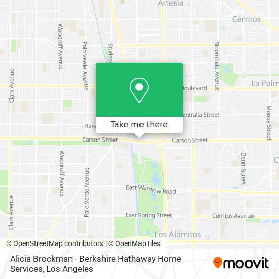 Alicia Brockman - Berkshire Hathaway Home Services map