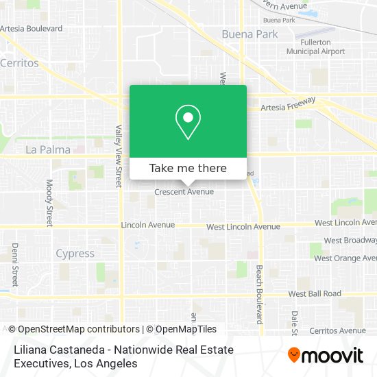 Liliana Castaneda - Nationwide Real Estate Executives map