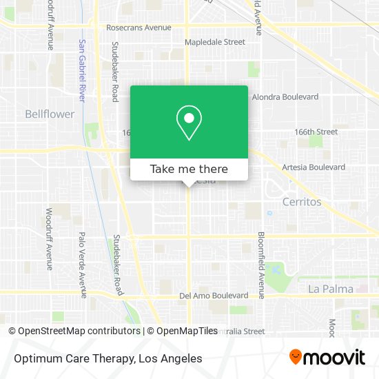 Optimum Care Therapy map