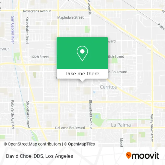 David Choe, DDS map