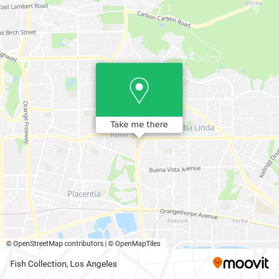 Mapa de Fish Collection