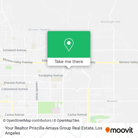 Your Realtor Priscilla-Amaya Group Real Estate map