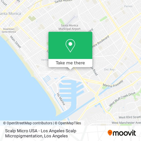 Scalp Micro USA - Los Angeles Scalp Micropigmentation map