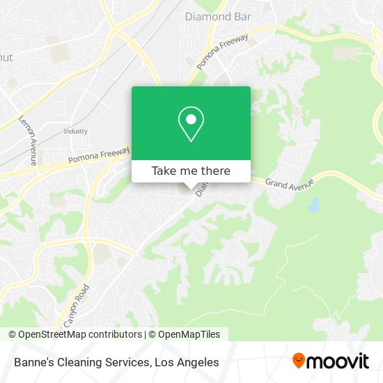 Banne's Cleaning Services map