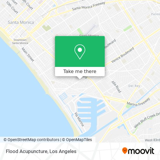 Flood Acupuncture map