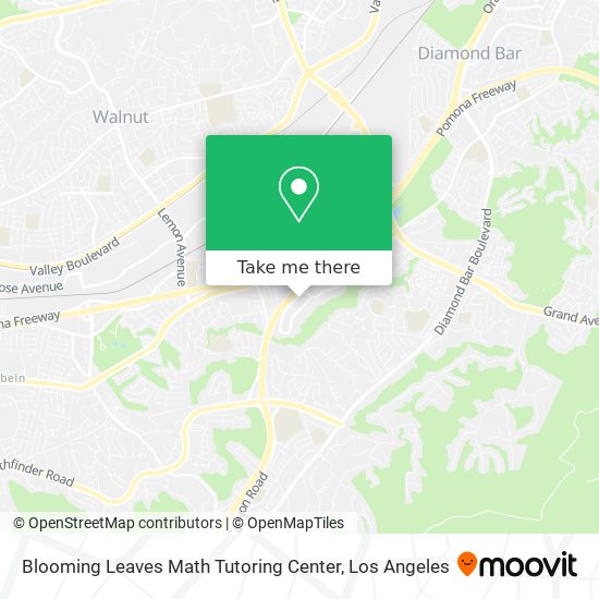 Blooming Leaves Math Tutoring Center map