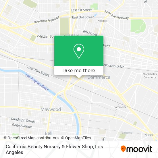 California Beauty Nursery & Flower Shop map