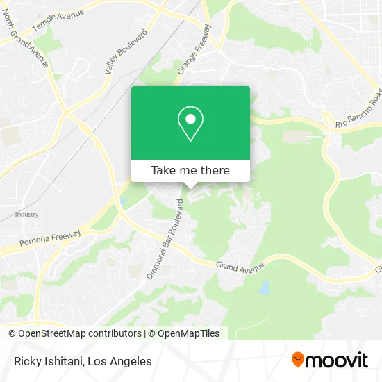Ricky Ishitani map