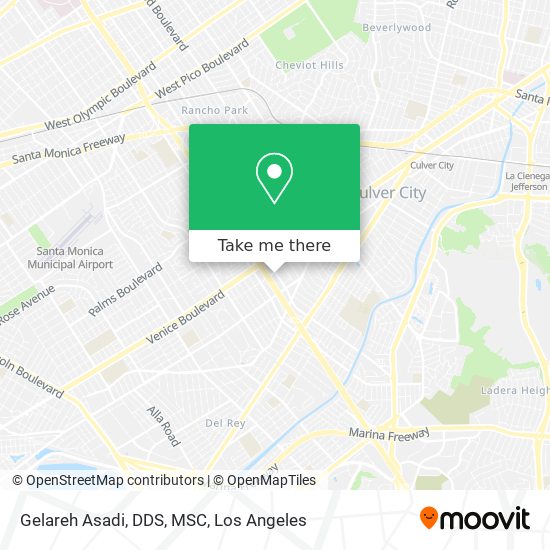 Mapa de Gelareh Asadi, DDS, MSC