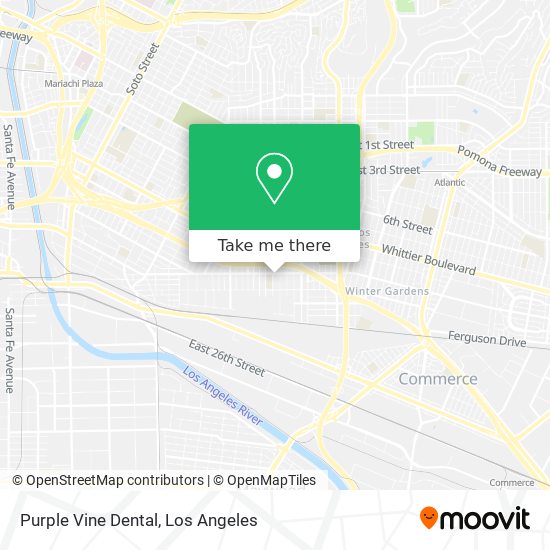 Purple Vine Dental map