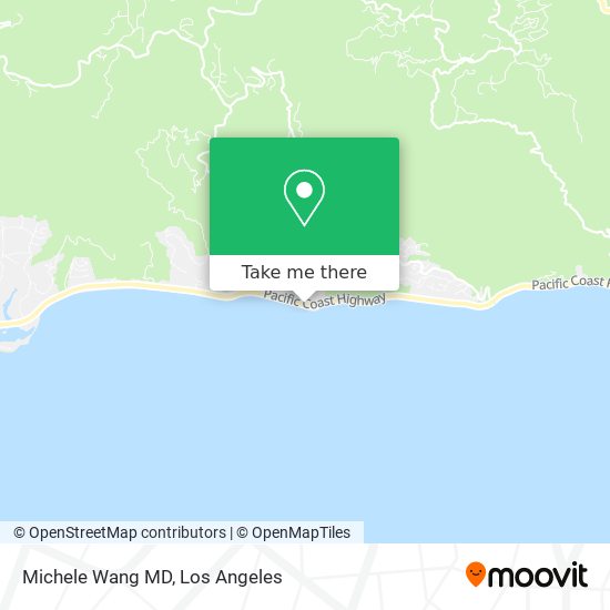 Michele Wang MD map