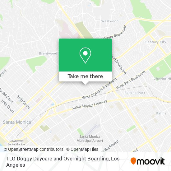 TLG Doggy Daycare and Overnight Boarding map