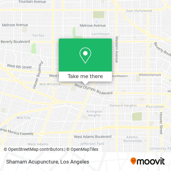 Shamam Acupuncture map