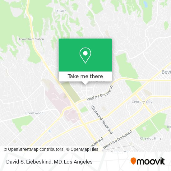 David S. Liebeskind, MD map