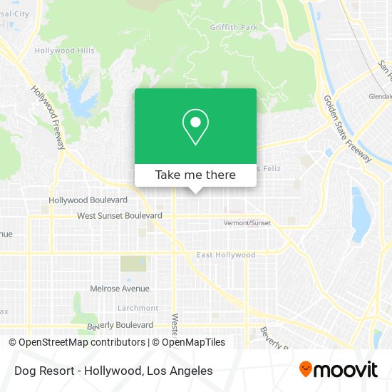 dog resort hollywood