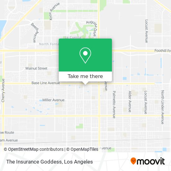 The Insurance Goddess map