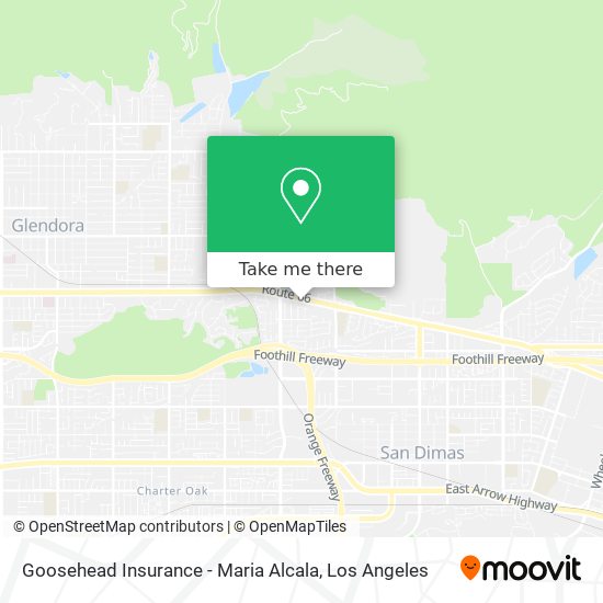 Goosehead Insurance - Maria Alcala map