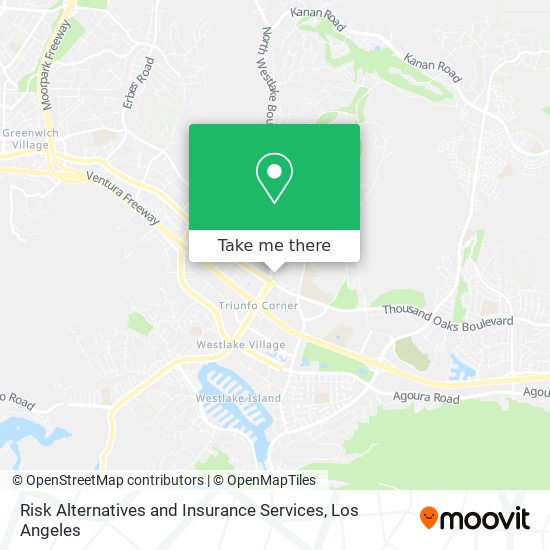 Mapa de Risk Alternatives and Insurance Services