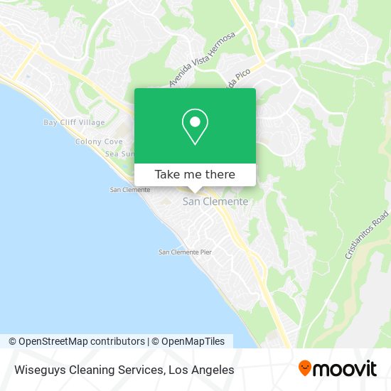 Wiseguys Cleaning Services map