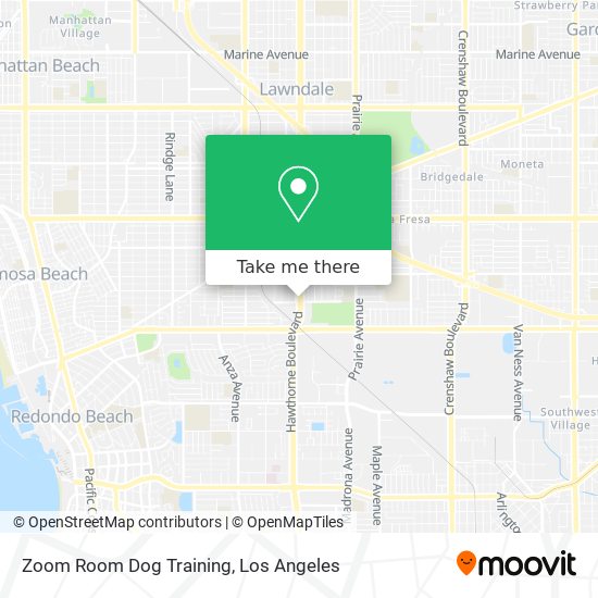 Zoom Room Dog Training map