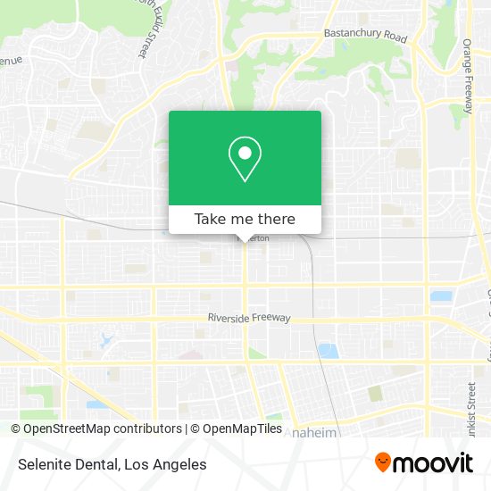 Mapa de Selenite Dental