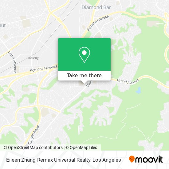 Eileen Zhang-Remax Universal Realty map