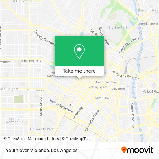 Youth over Violence map