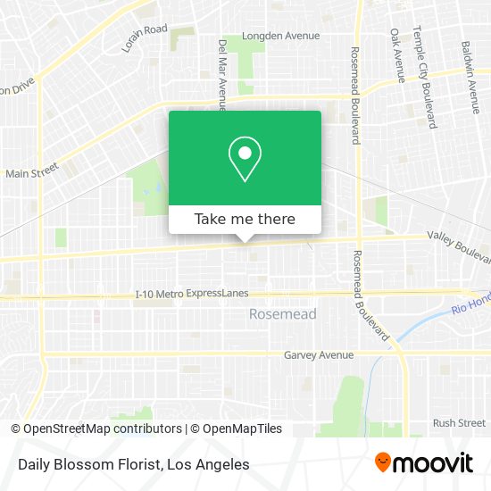 Daily Blossom Florist map