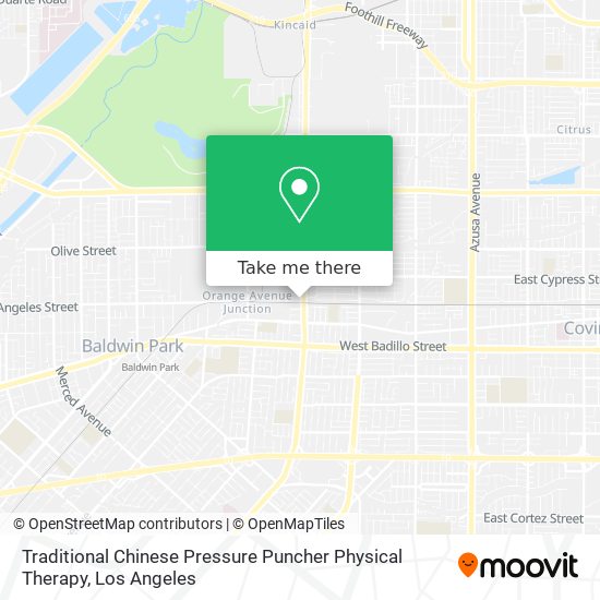 Mapa de Traditional Chinese Pressure Puncher Physical Therapy