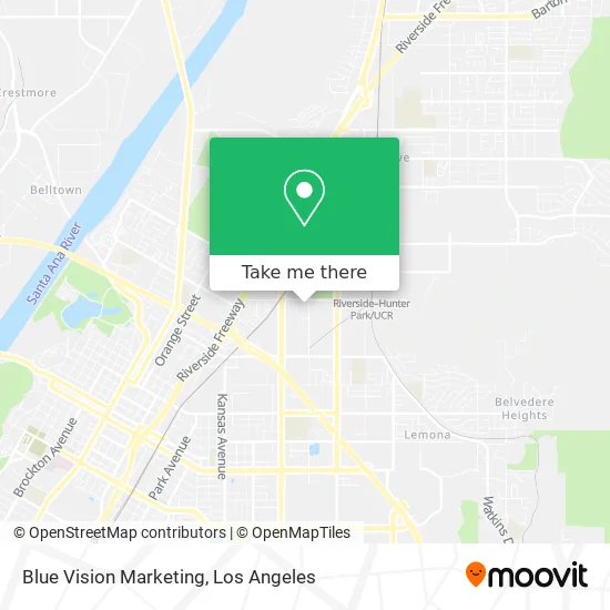 Mapa de Blue Vision Marketing
